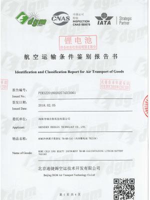 冷熱離子美容儀航空安全電池報告 冷熱離子美容儀航空安全電池報告